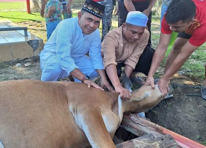 Dandim 1307/Poso, Serahkan 2 Ekor Sapi dan Kambing Untuk Qurban di Idul Adha 1444 Hijriyah