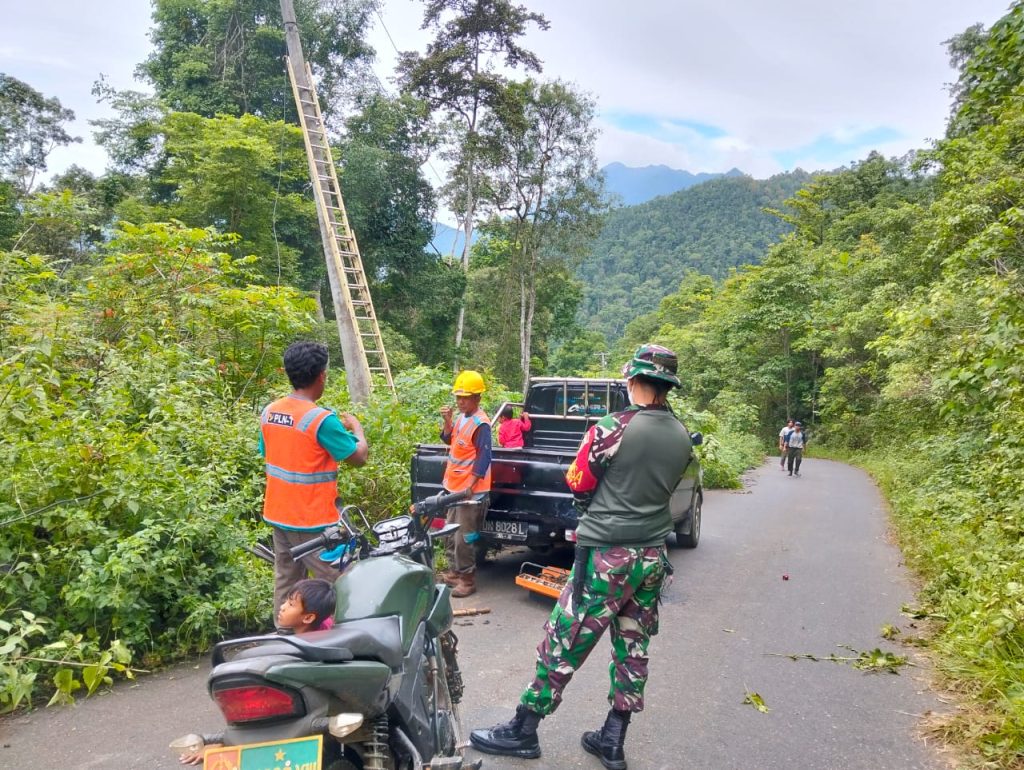 Babinsa Koramil 1311-08/Soyo Jaya Bantu Pembersihan Jaringan Listrik