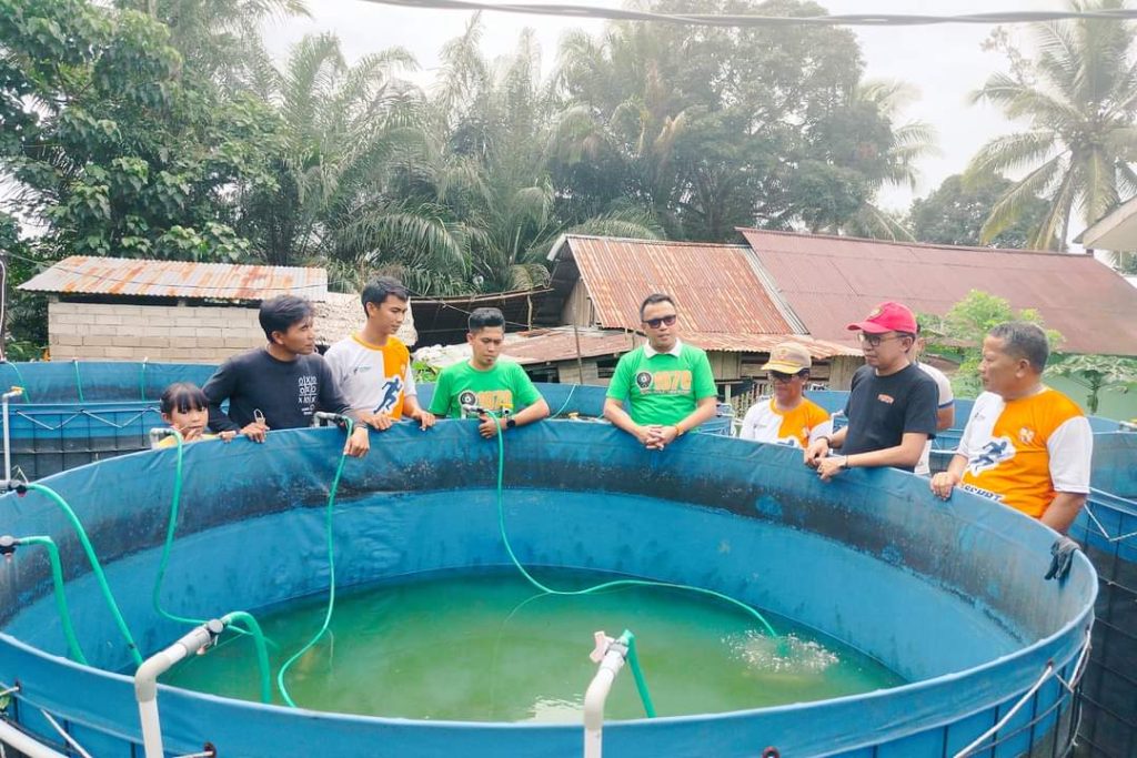 Karang Taruna Tomata Raih Keuntungan Besar Dalam Membudidaya Ikan Nila