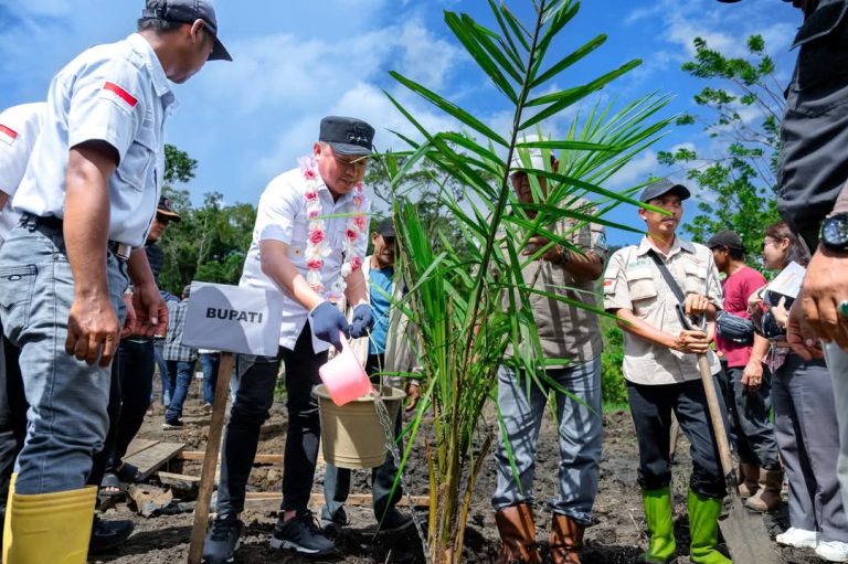 Bupati Morut Tanam Perdana Kelapa Sawit Milik PT. CAS di Desa Menyo’e