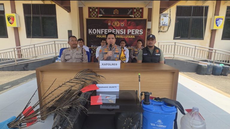 Kebun 15 Hektare Terbakar di Morowali Utara, Warga Lemboroma Ditetapkan Tersangka